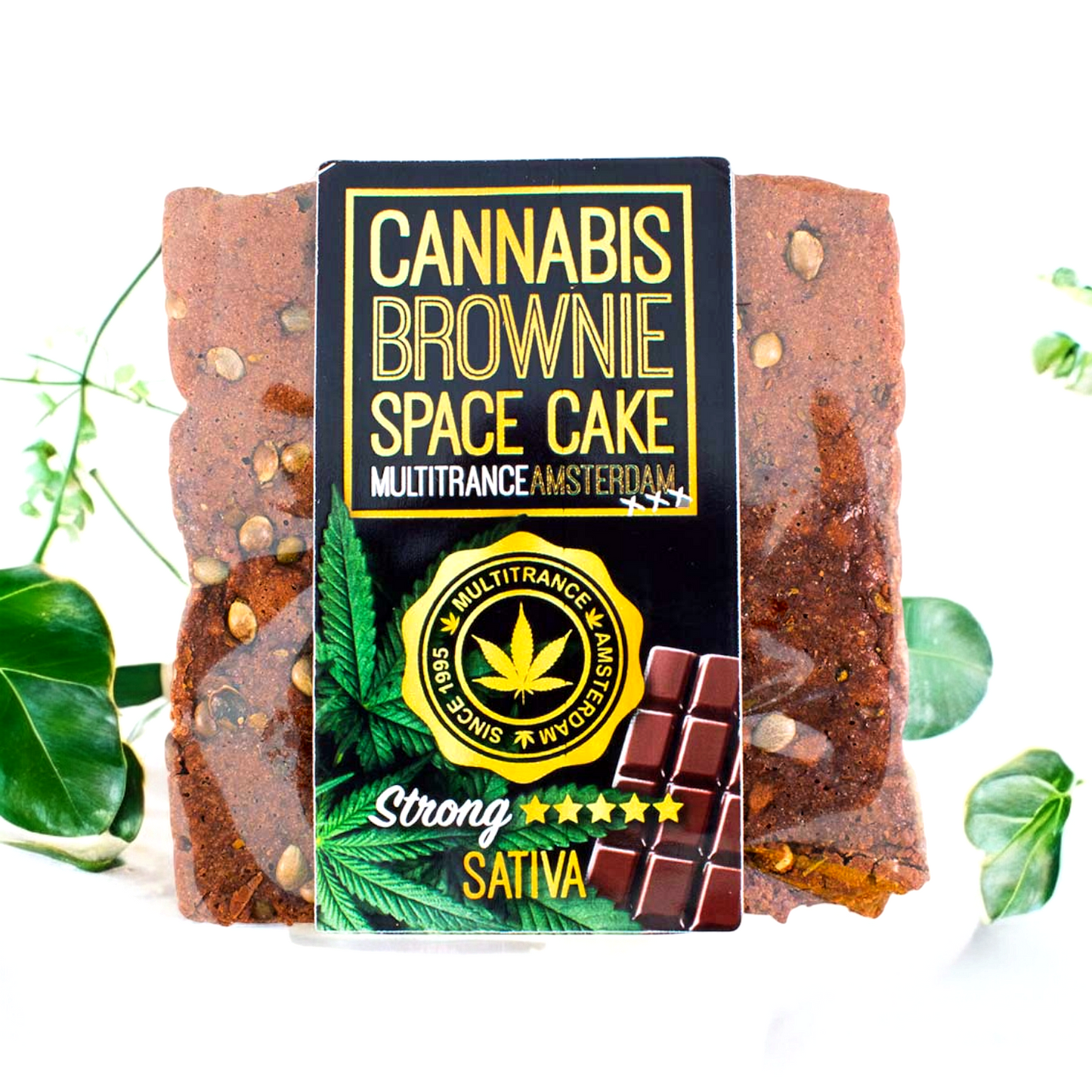 Space Brownie ( Seeds strong)